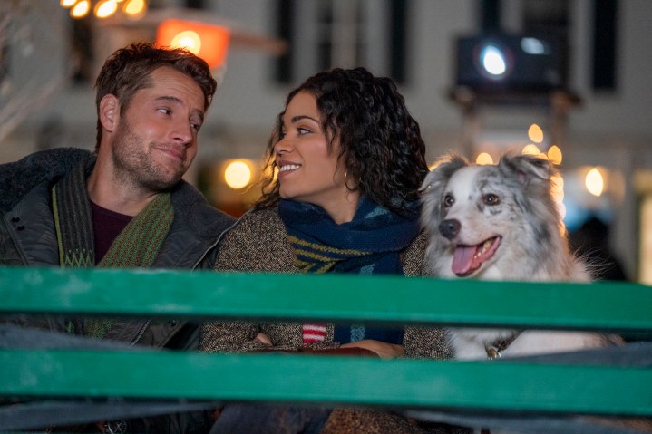 A man and woman sit on a bench next to a dog.