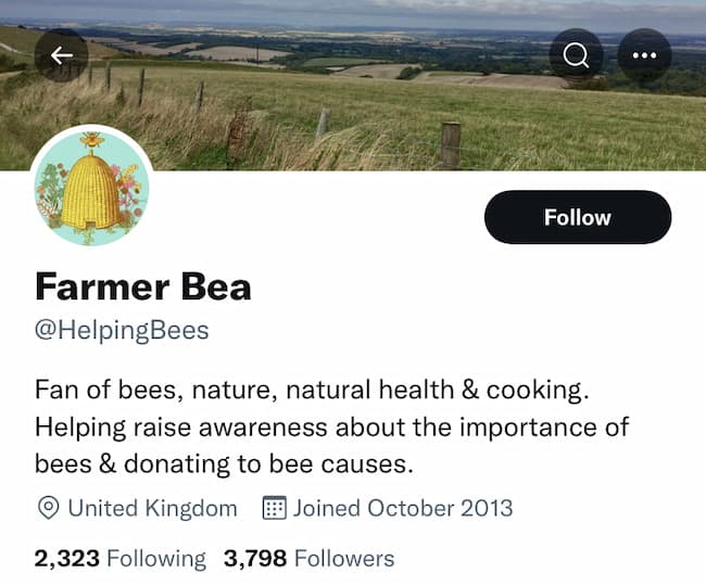 27 of the Best Professional Bio Examples I've Ever Seen [+ Templates] 23