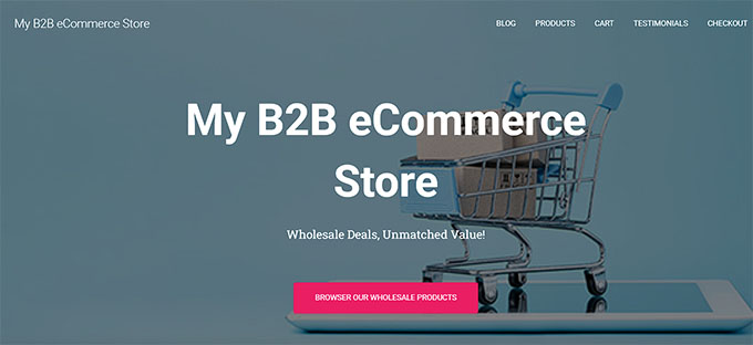 B2B store home page